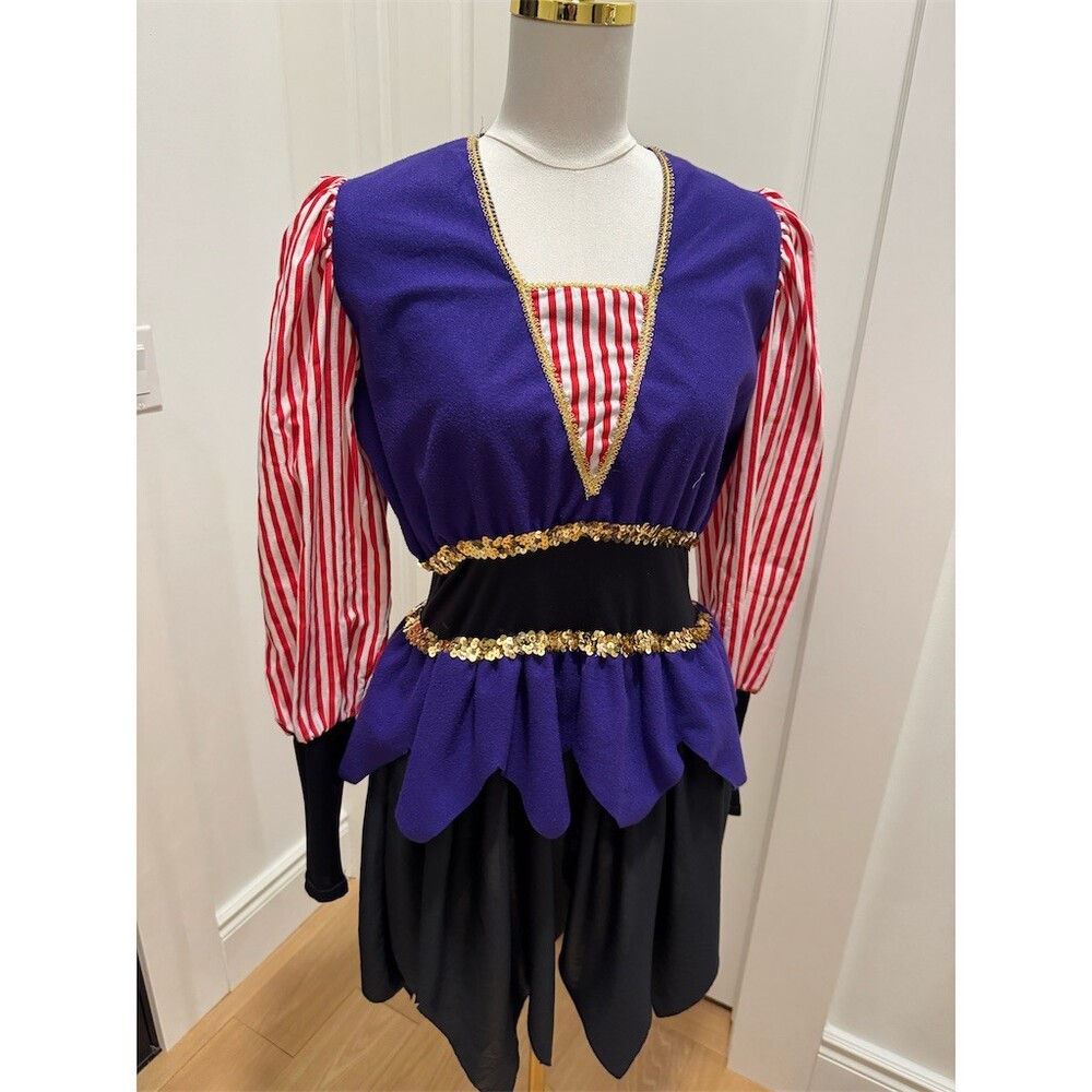 Rare Unique Vintage Childcraft Court Jester Harlequin Costume Dress Womens Small - Picture 3 of 14